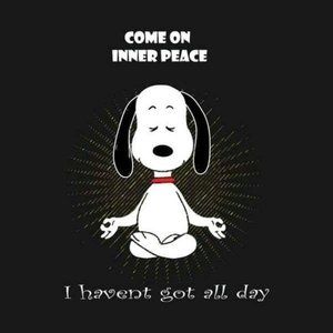 Meet your Posher, Bray